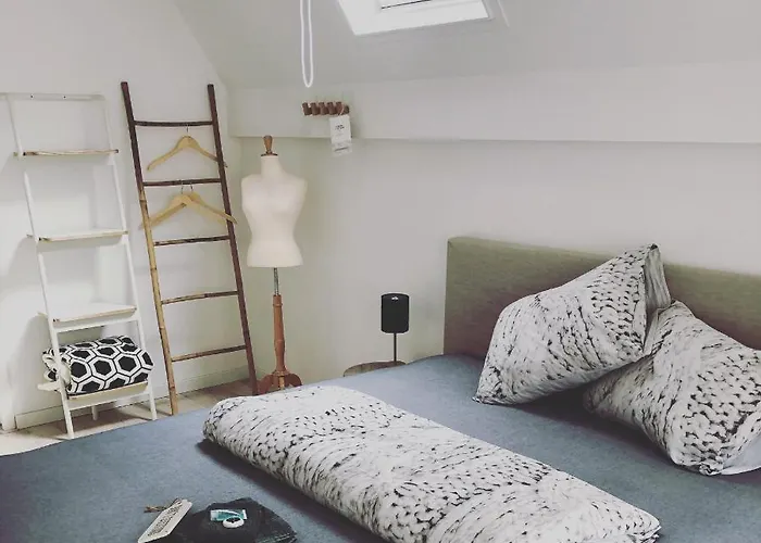 Luxe Toplocatie! Monument Hartje Centrum Dordrecht, 2 Badkamers, 2 Keukens, Tuintje