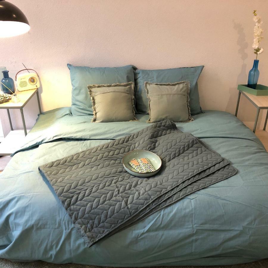 Appartement Luxe Toplocatie! Monument Hartje Centrum Dordrecht, 2 Badkamers, 2 Keukens, Tuintje